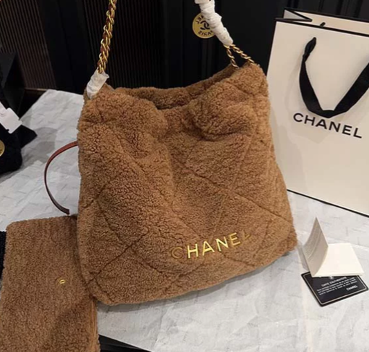 Chanel 22 Hobo Bag