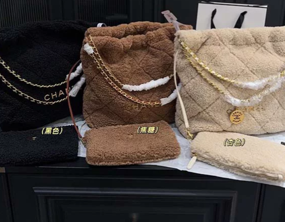 Chanel 22 Hobo Bag