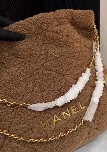 Chanel 22 Hobo Bag
