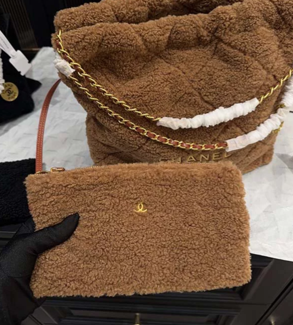 Chanel 22 Hobo Bag