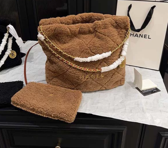 Chanel 22 Hobo Bag